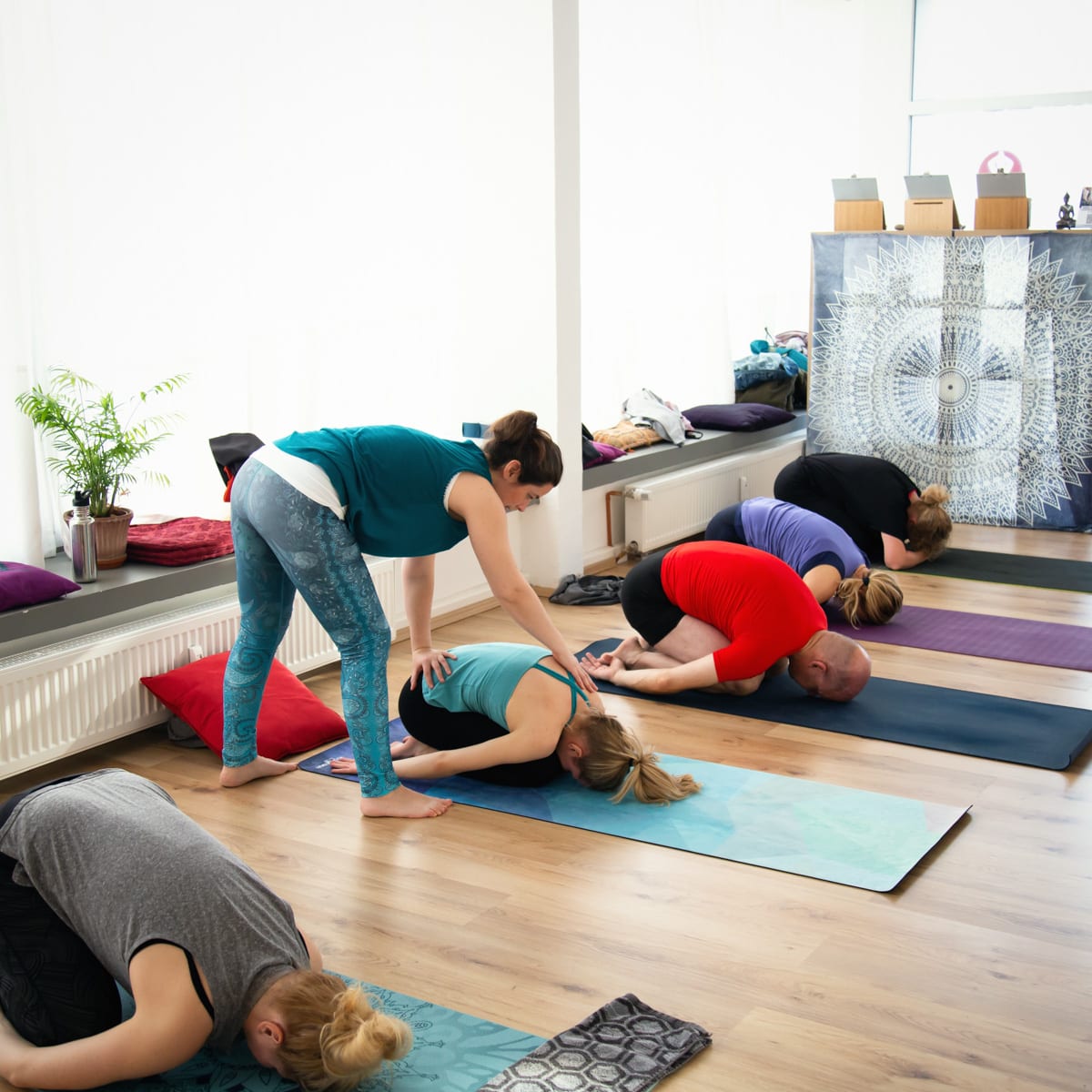 Yoga Einsteiger Kompakt Kurs - Ausführliche Anleitung